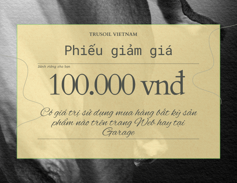 Đổi 100 điểm nhận Voucher 100.000đ (Đơn từ 300k)